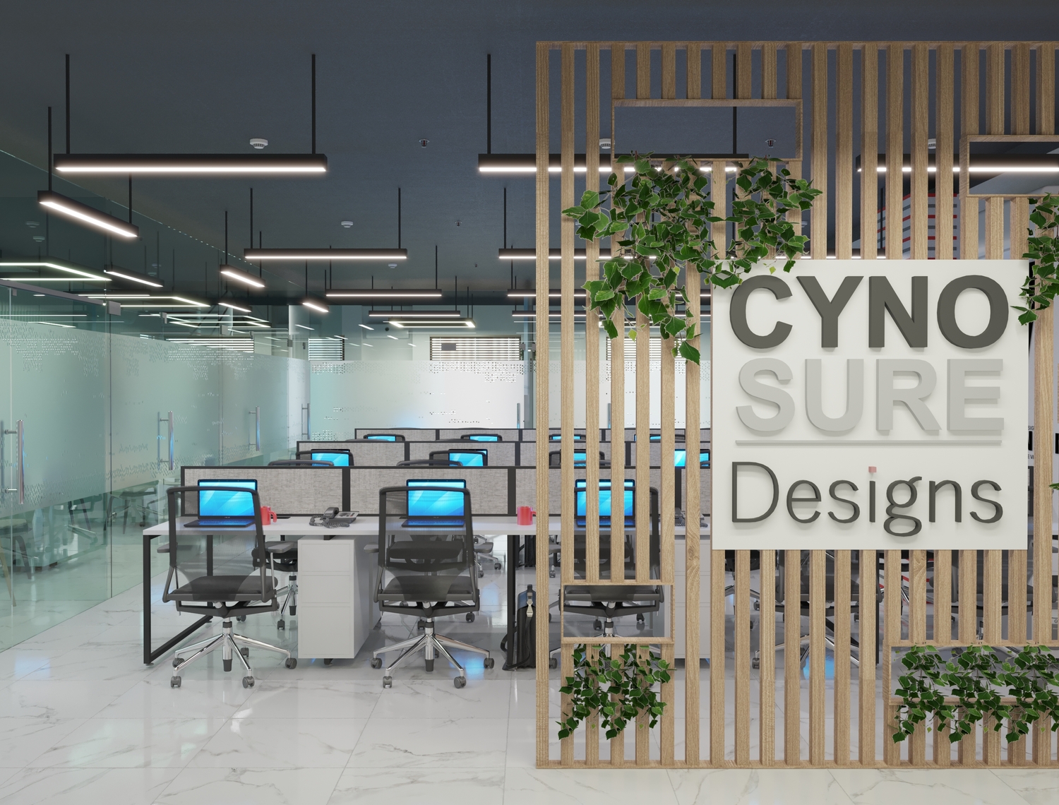 Cynosure Office